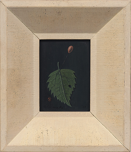 Leaf with Pin and Ladybug